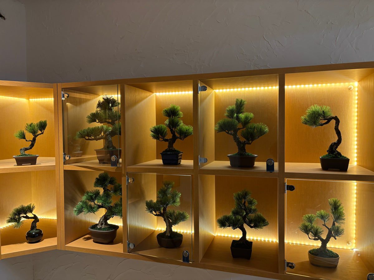 Craft Bonsai