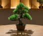 MT-30-90